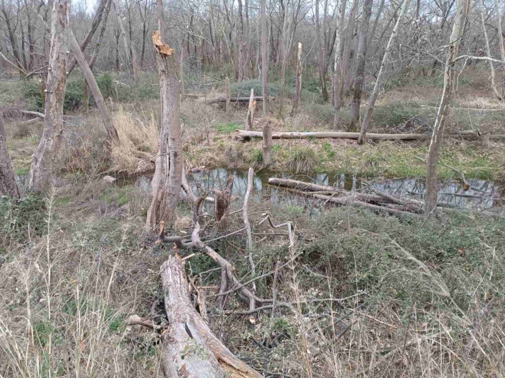 εικόνα Viber 2026 02 09 17 21 40 060