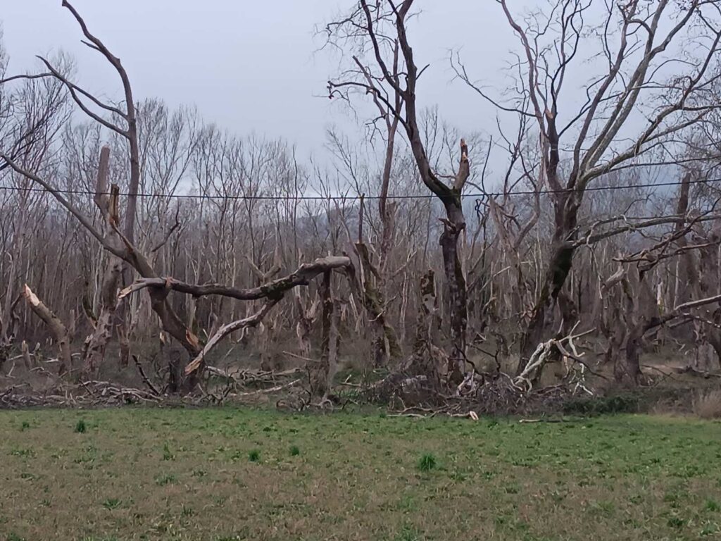 εικόνα Viber 2026 02 09 17 21 40 972