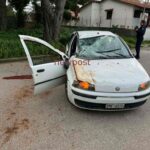 AUTO TEZARIS 768x1024 1