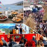 InCollage 20260223 093851319