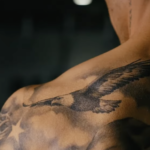 Stigmiotypo othonis 2026 02 05 9.26.09 mm