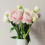 eortologio 14 768x512 1