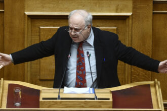 panagiotis paraskevaidis it 4071387