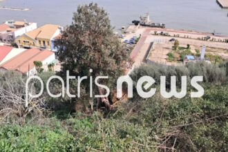 patra 3
