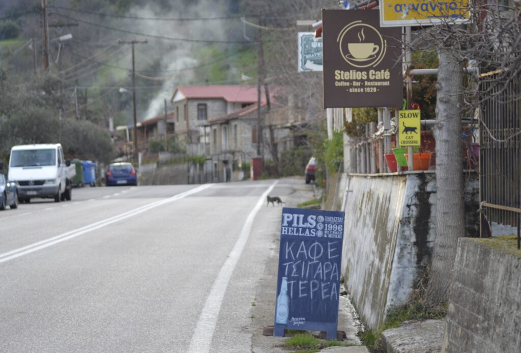 ptelea sign cat on road squar01