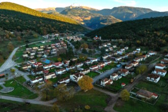 viniani