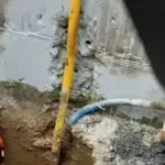 violanta 5 1200x675 1