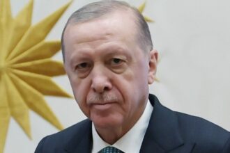 w11 184401Erdogan31424884