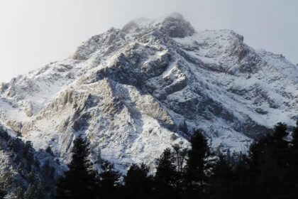 266284544 2360385530761257 4617229894961618143 n