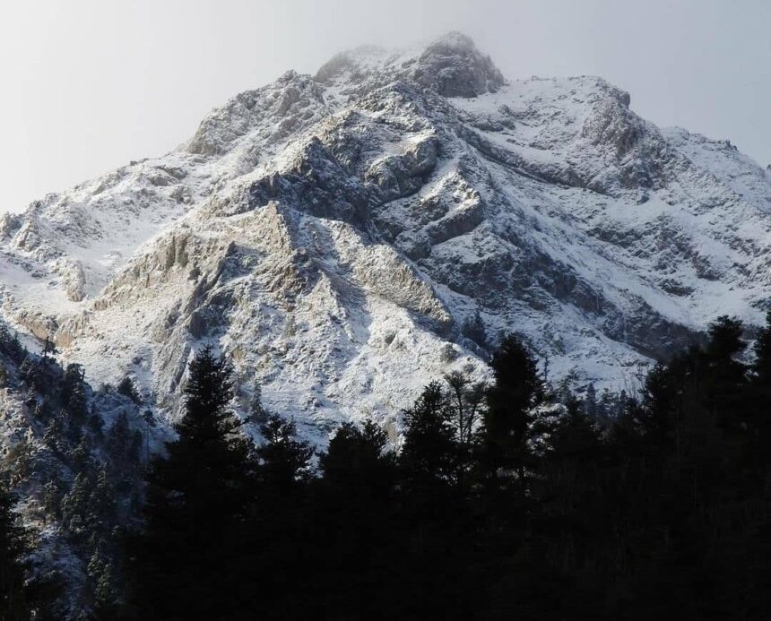 266284544 2360385530761257 4617229894961618143 n