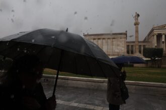 5008802 1536x1024 1 1