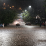 685e8f7d 8218 450f a885 51ff15c19660