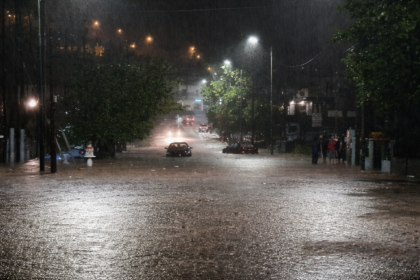 685e8f7d 8218 450f a885 51ff15c19660