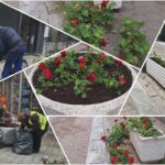 InCollage 20260323 133240319