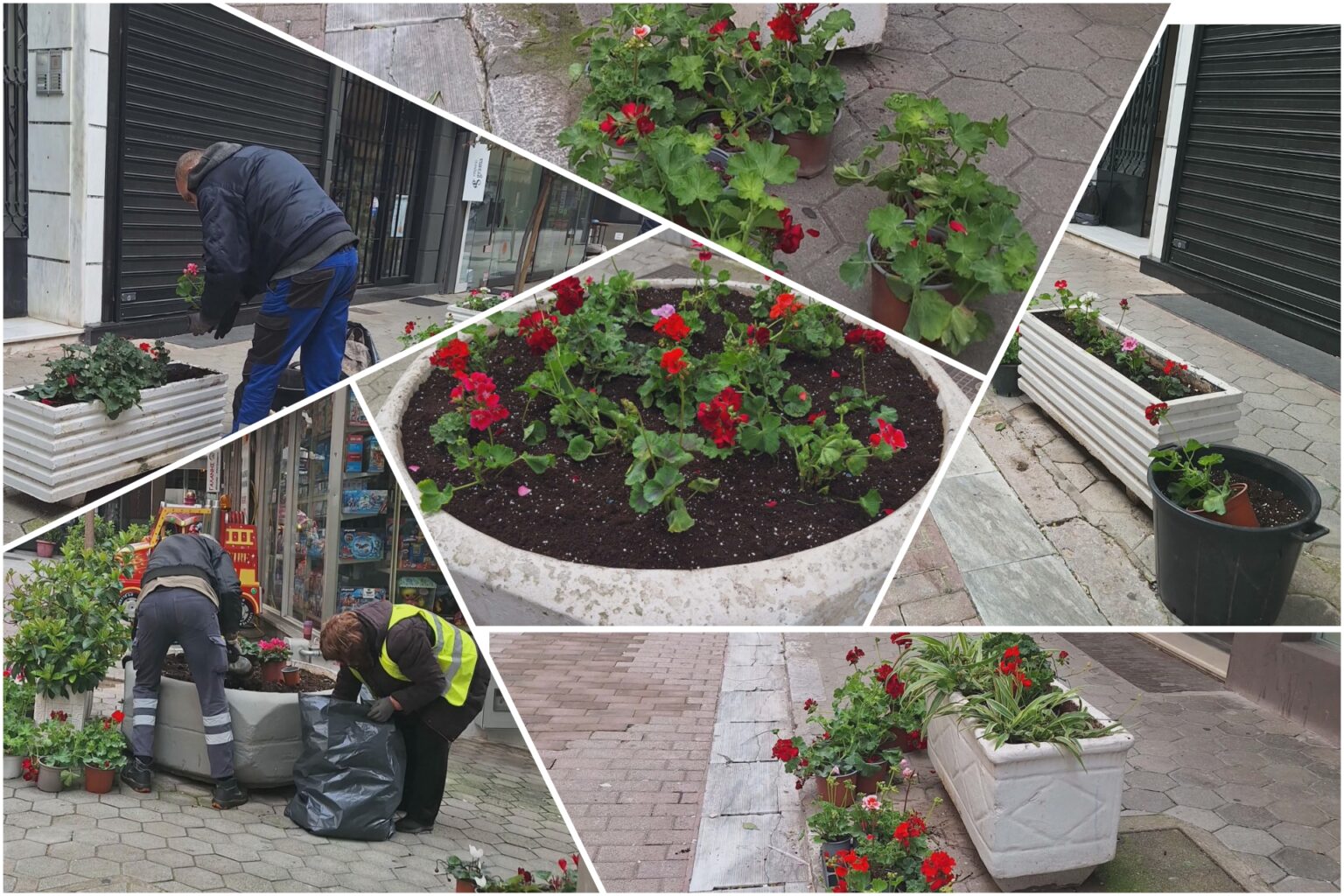 InCollage 20260323 133240319