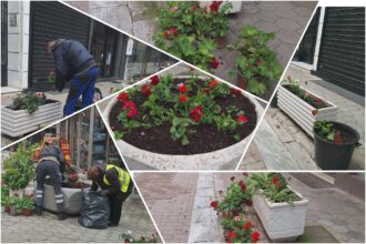 InCollage 20260323 133240319