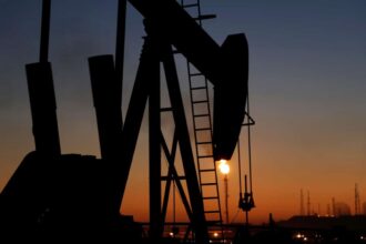 Neo rali 1725299 b466cb54 oil pump