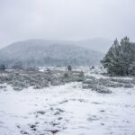 Peripeteia 1725297 d84871fa xionia