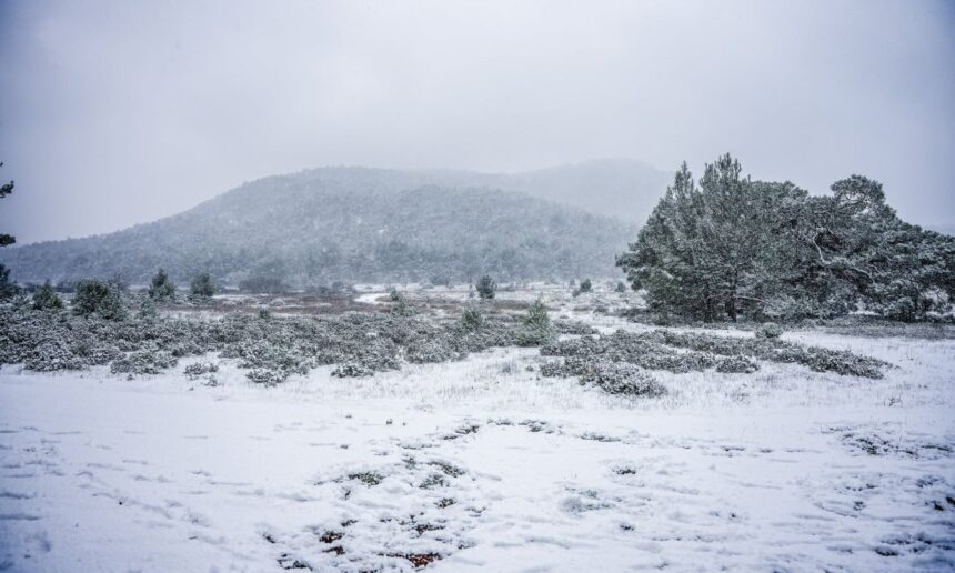 Peripeteia 1725297 d84871fa xionia