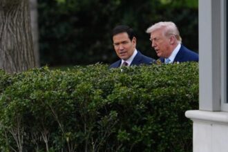 Trump Rubio 1200x675 1