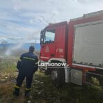 fotia 6