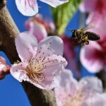 kairos anodos thermokrasia anoiksi