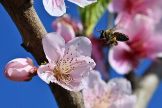 kairos anodos thermokrasia anoiksi