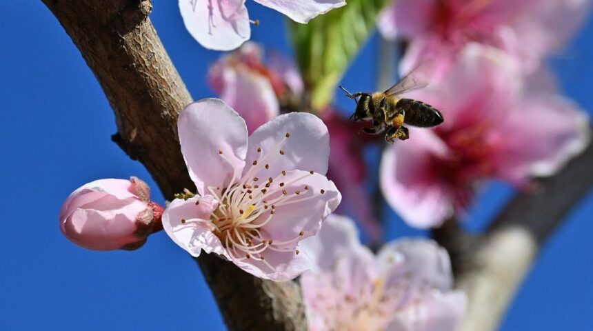 kairos anodos thermokrasia anoiksi