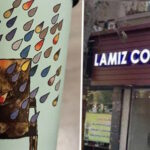 lamiz