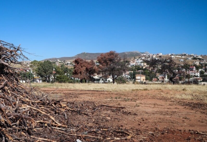 Καθαρισμένα Οικόπεδα