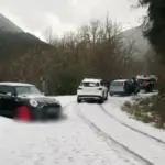 papigko xalazi 1.png