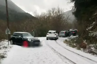 papigko xalazi 1.png