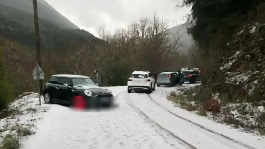 papigko xalazi 1.png