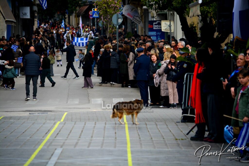 parelasi 25 martioy 2026 lamia 229 1