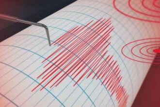 seismografos 1 768x517 1