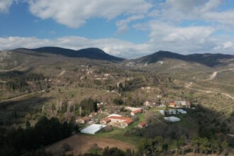 tatoi