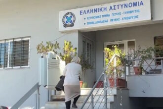 zaroylia