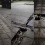 InCollage 20260405 142851668