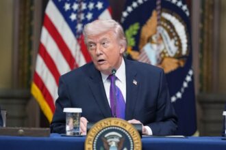 Tramp Epi 1726401 ap26063737922550