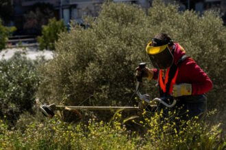 Οικόπεδο που χρειάζεται καθαρισμό στο πλαίσιο της προθεσμίας για τους καθαρισμούς οικοπέδων