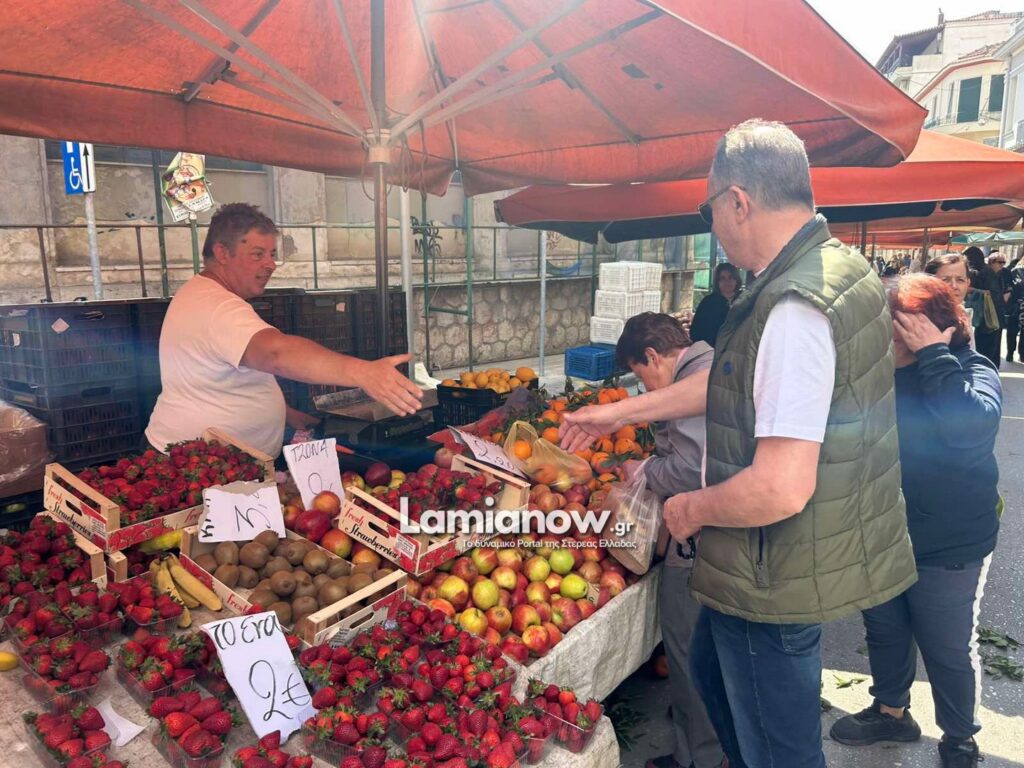 dimarxos laiki 10