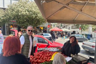 dimarxos laiki 13