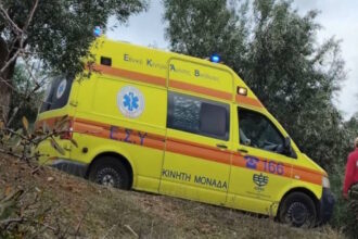 ekav 2
