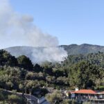 fotia skiathos