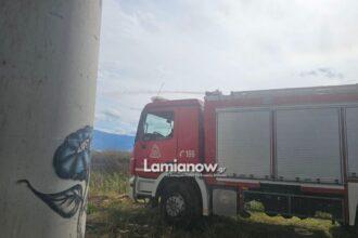 fotia 3 1024x768 1