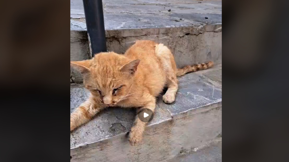 gataki