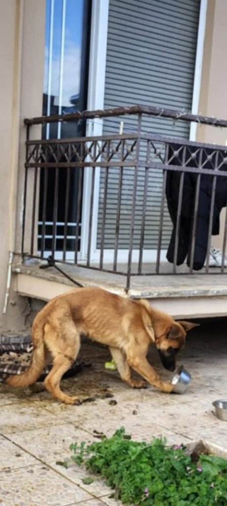 image 107