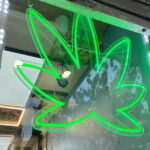 kannavi
