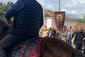 kavalarides