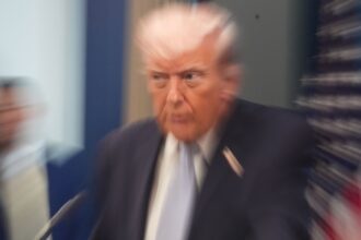 trump new